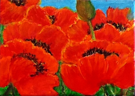 Red poppies (444x316, 52Kb)