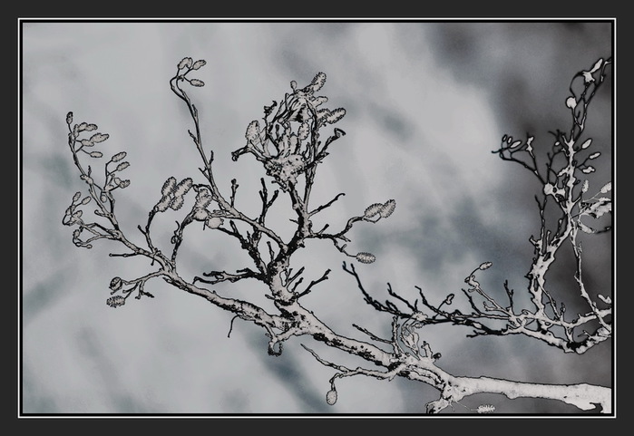 N200_XXV (700x481, 93Kb)