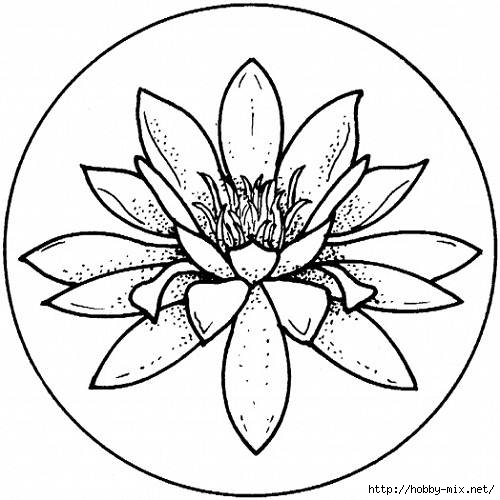 lily-coloring-pages-free (500x500, 113Kb)