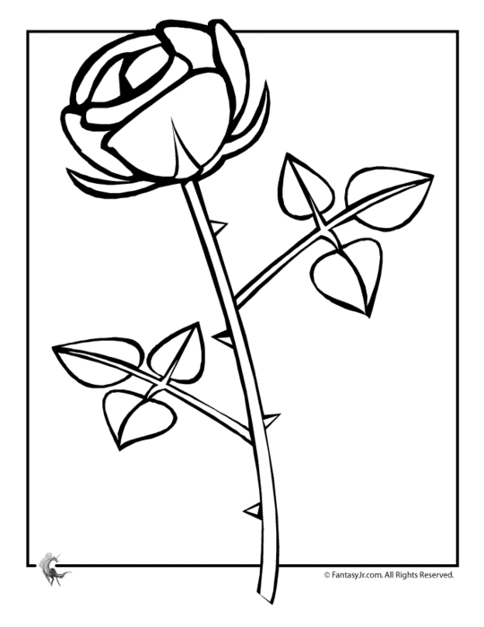 rose-flower-coloring-1 (540x700, 36Kb)