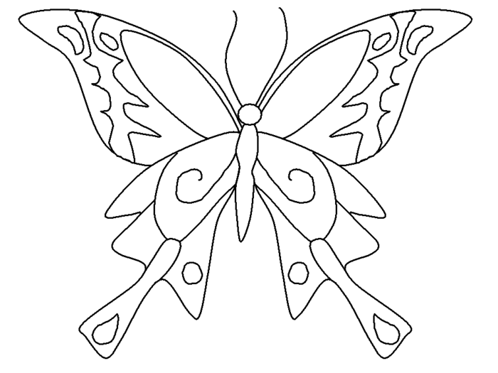 butterfly-coloring-16 (700x525, 35Kb)