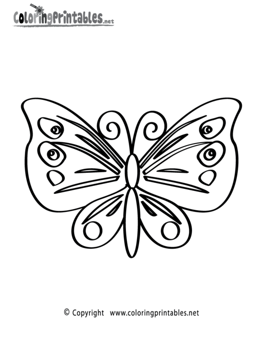butterfly-coloring-page-printable (541x700, 37Kb)