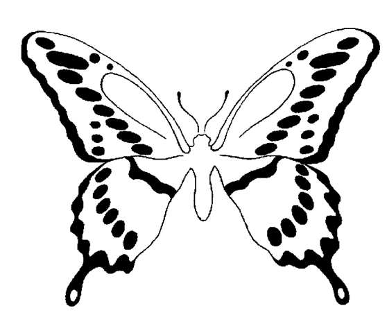 color-butterfly8-big (558x480, 19Kb)