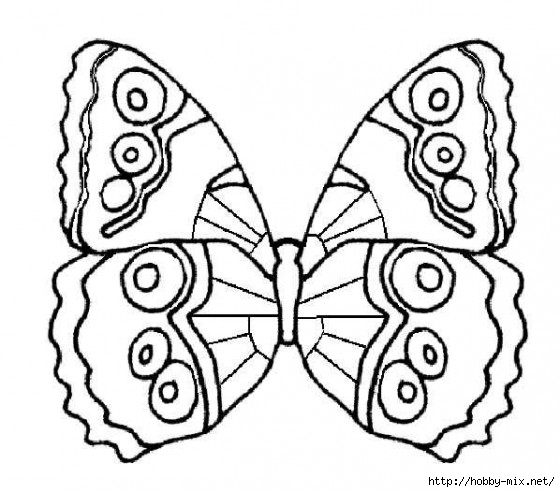 butterfly-4-animals-coloring-books-560x492 (560x492, 134Kb)