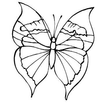 coloring_page_butterfly (359x359, 66Kb)