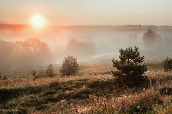 5I3A6128-мм 25 (600x400, 188Kb)