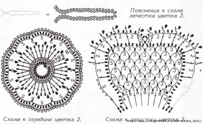 Схема цветка 2а (700x428, 263Kb)