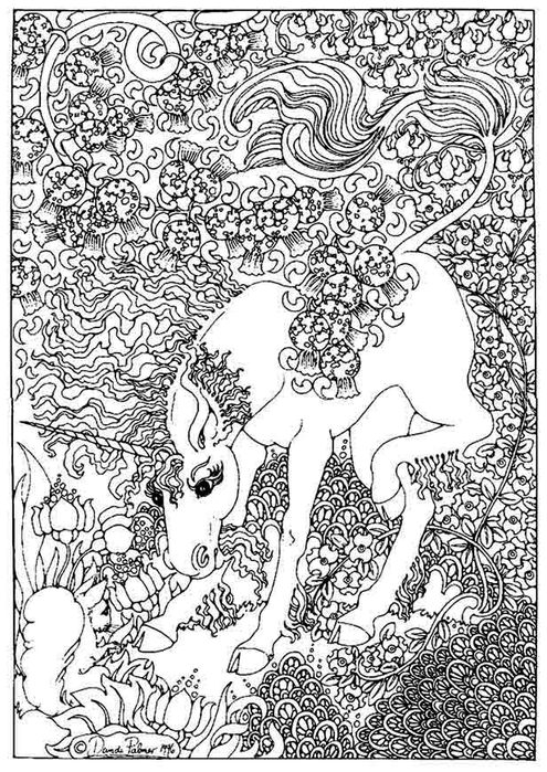 unicorn (495x700, 315Kb)