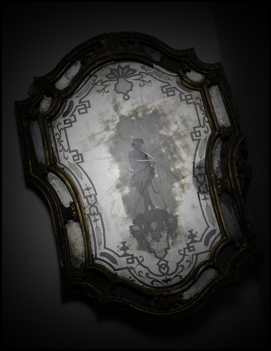 Zerkalo_II (540x700, 84Kb)