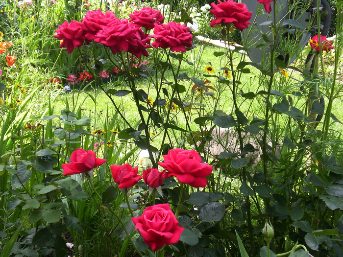 image (7) (700x525, 700Kb)