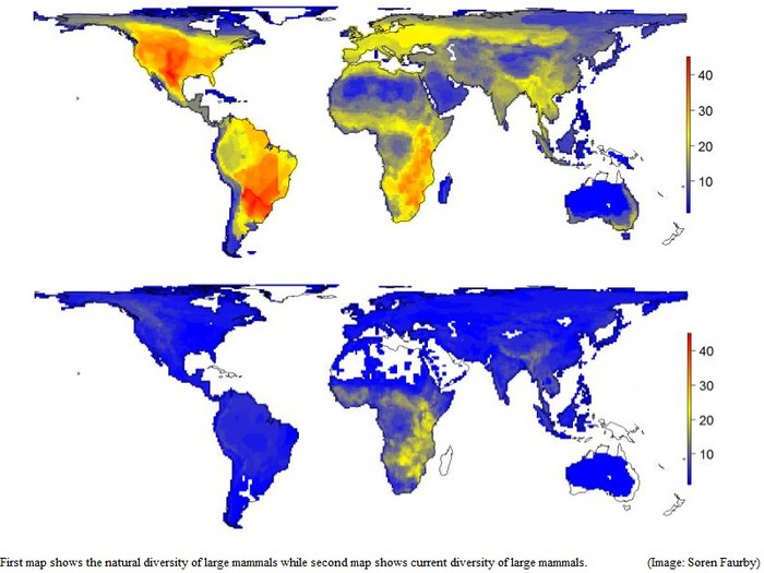 world_without_mammals_official (700x525, 97Kb)