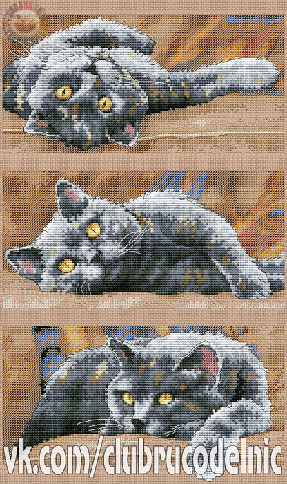 Max the Cat (416x700, 518Kb)