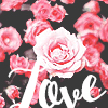 1441393832_80196478_1321619758_tumblr_ltq8zdWL5C1qzrkblo1_500 (100x100, 43Kb)