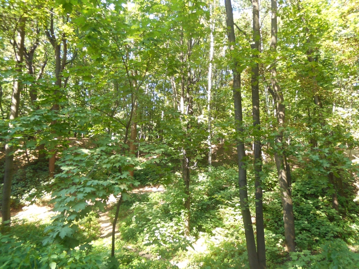 4752699_nesk_011 (700x525, 411Kb)
