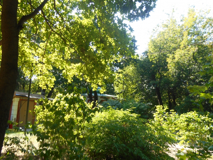4752699_nesk_033 (700x525, 399Kb)