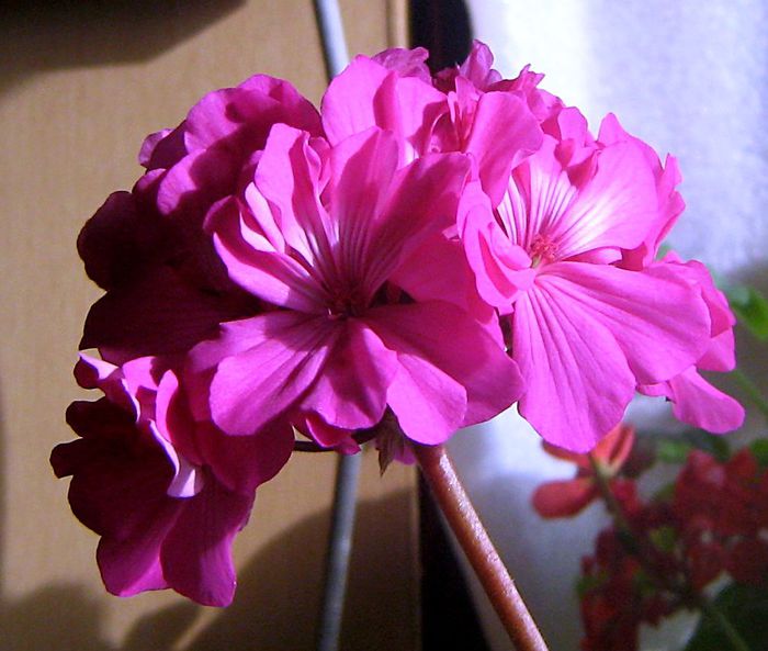  (1) (700x593, 62Kb)