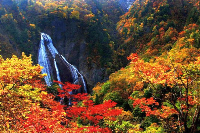 693346__colors-of-autumn_p (700x467, 121Kb)