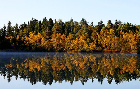2 (596x380, 354Kb)