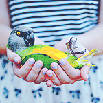 1441981601_60703876_1277302212_tumblr_l443icrAix1qatbalo1_500 (150x150, 61Kb)