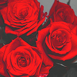 1441981704_86652959_3219543_tumblr_llk4eboU7c1qgjpq6o1_500 (150x150, 67Kb)