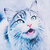 1441982004_77219300_1313636813_tumblr_ln5jtp782b1qce3p6o1_500 (100x100, 34Kb)