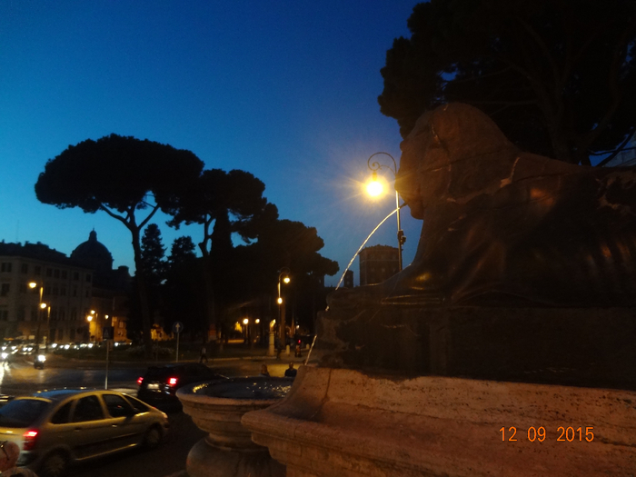 DSC05064 (700x525, 311Kb)