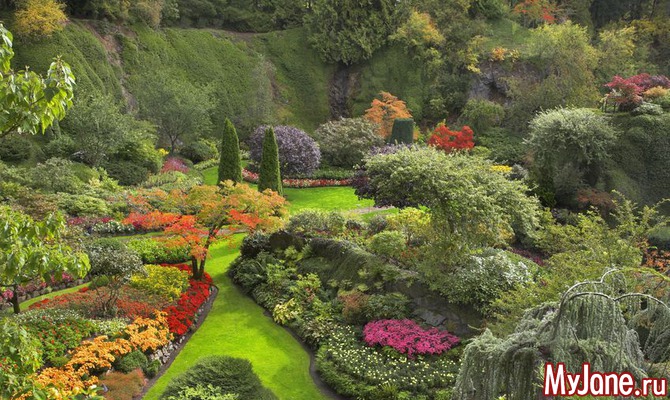 260158_81808-670x400x (670x400, 138Kb)