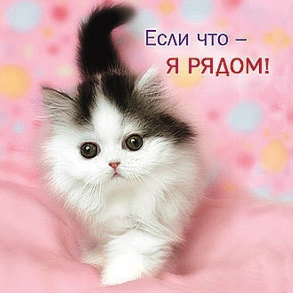4fa039f4f949Я РЯДОМ (600x600, 218Kb)