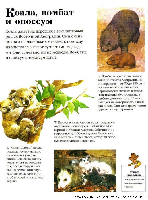 Entziklopedia dlya detei.Vse o jivotnih ot a do ya..page048 (520x700, 297Kb)