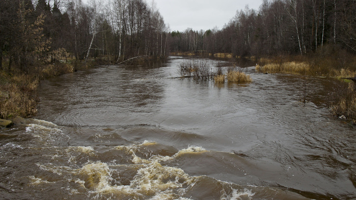 Сплав по реке Узола Нижегородская область