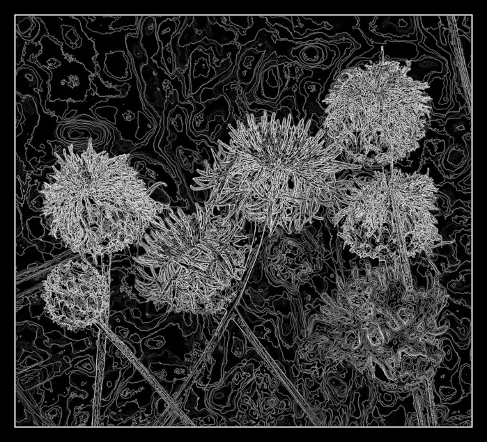 Grafica (700x635, 228Kb)