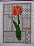  Frezia Tulipan Narcisz (4) (516x700, 370Kb)