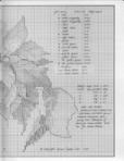  Pastel Poinsettia2 (536x700, 80Kb)