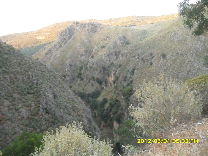 SAM_9100 (700x525, 422Kb)