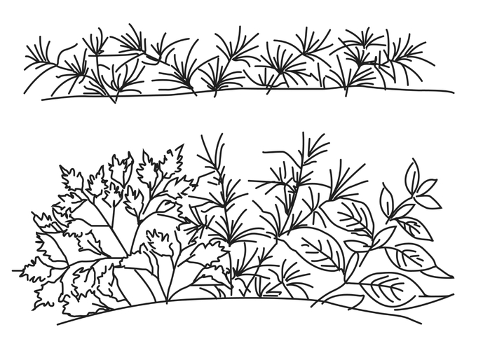 pontes-cozinha_mlode1_08.40.11 (700x494, 149Kb)