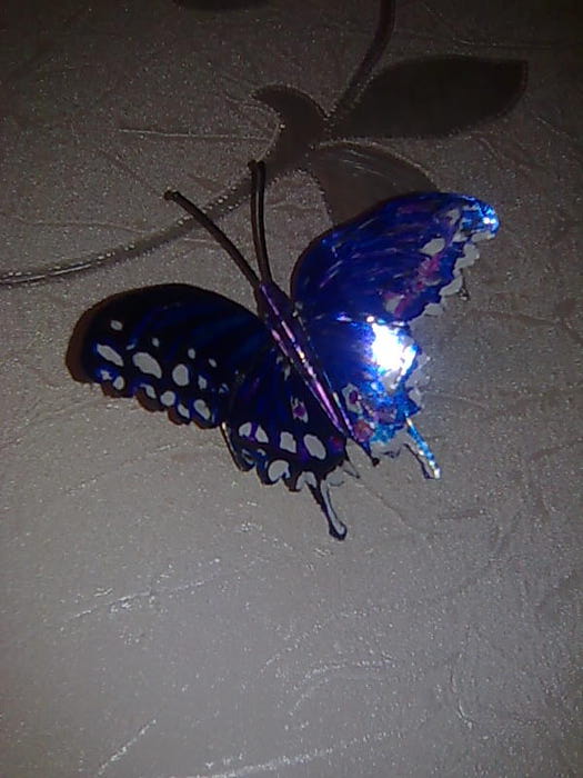 4826692_Foto0677 (525x700, 50Kb)