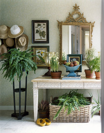 entryway-hallway-design-ideas-decoration-inspiration-green-mirror-plants-foliage-display-summer-look-scheme-stylish-home (360x460, 54Kb)