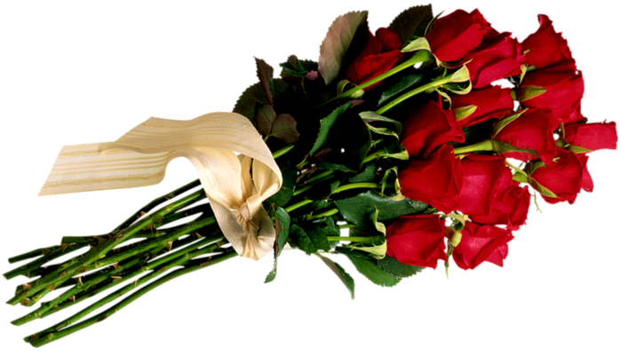roze (700x401, 303Kb)
