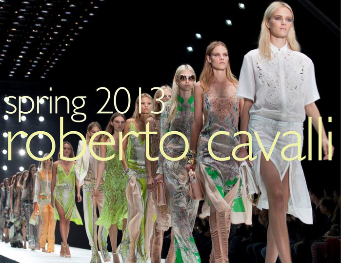 roberto-cavalli-01 (700x539, 143Kb)