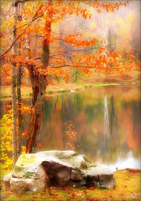 tumblr_mbd0x5GCbz1r71b95o1_500 (492x700, 141Kb)