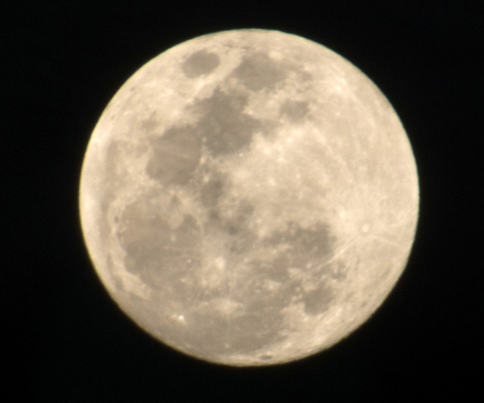 DSC04025 (700x581, 157Kb)
