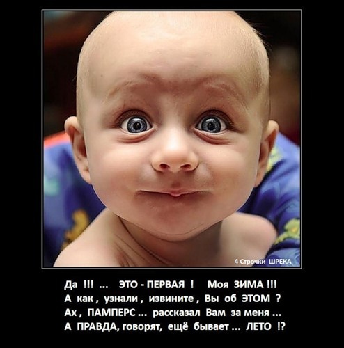 4279149_pervaya_zima (494x500, 55Kb)