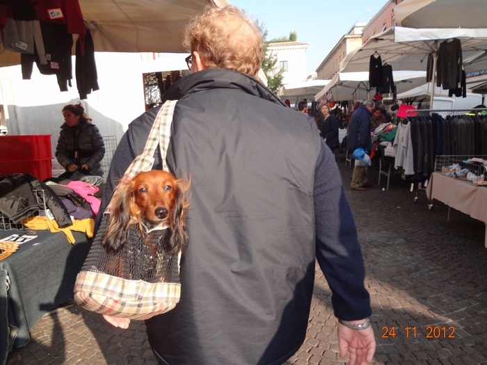 4798334_DSC05607 (700x525, 282Kb)