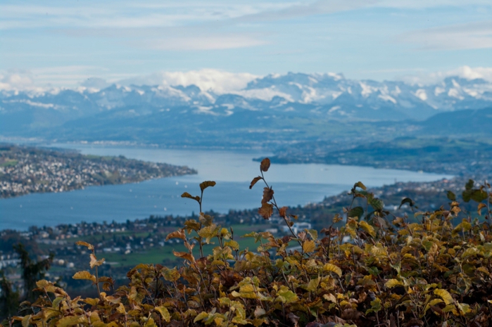 Switzerland in November2 (700x465, 236Kb)