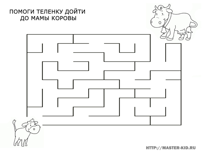 Карта лабиринта пое