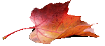0-2- (150x66, 11Kb)
