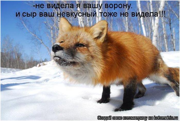 http://img1.liveinternet.ru/images/attach/c/7/94/461/94461897_113012_1641_4.jpg