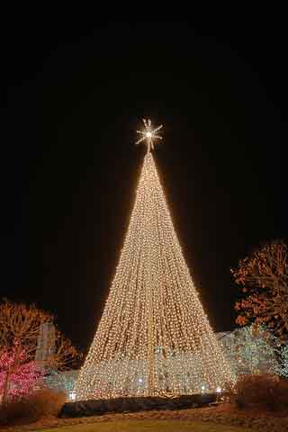 outdoor-christmas-lights-7 (320x480, 12Kb)