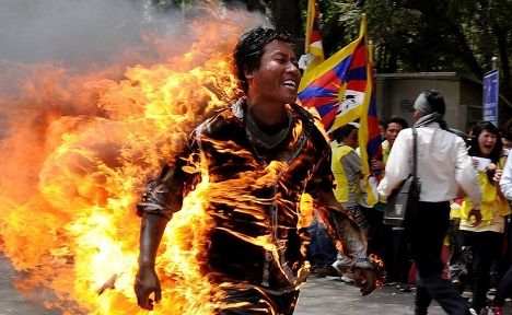 4016659_Samosojjenie_tibet (468x288, 37Kb)