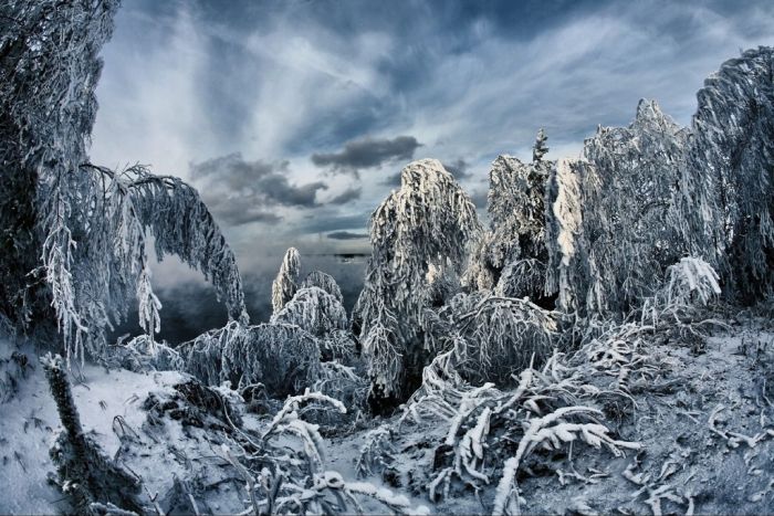 beautiful_winter_18 (700x467, 113Kb)